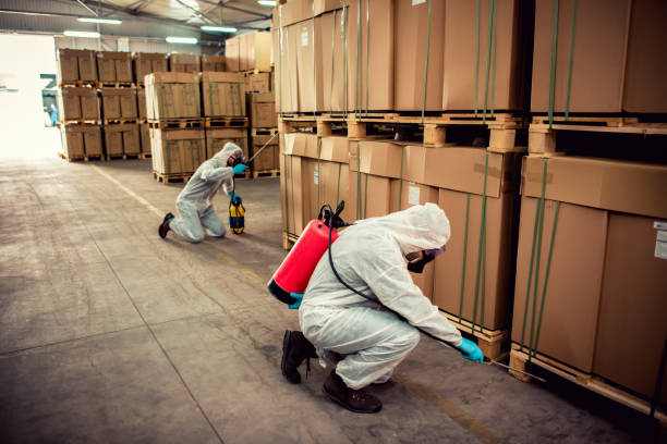 Best Flea Control Services  in Inverness Highlands North, FL