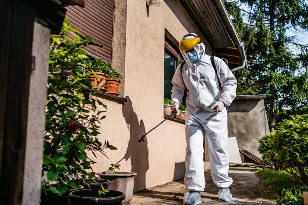 Best Pest Prevention Services  in Inverness Highlands North, FL