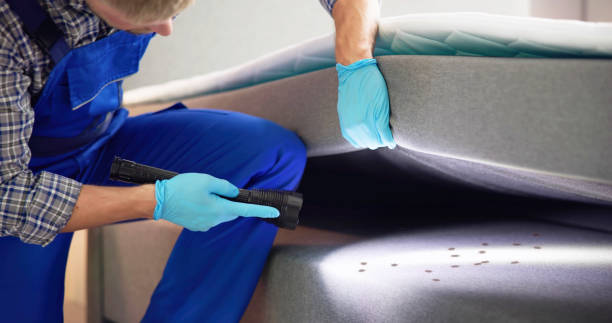 Pest Prevention Services in Inverness Highlands North, FL