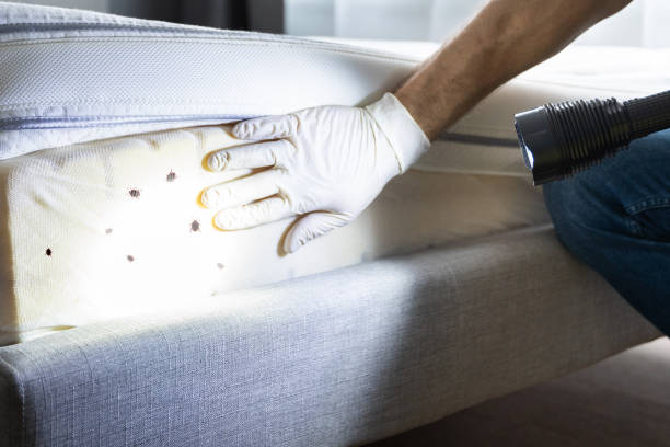 Inverness Highlands North, FL Pest Control Company